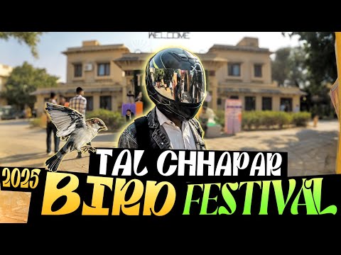 2025 Bird Festival | Tal Chhapar | Motovlog | Rajasthan