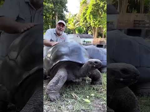 Before And After Amazing Animal Transformation