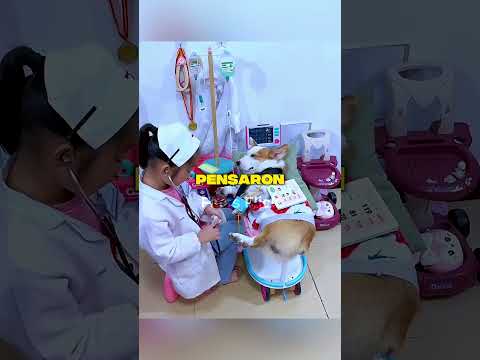El veterinario amante de los animales del futuro 🩺🐾