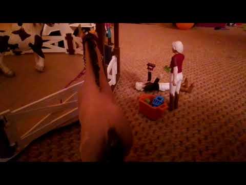 J-1 du stage #coopine#schleich#riree#chutes