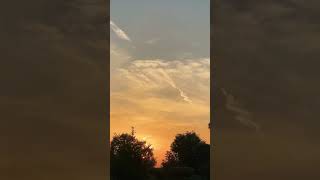 Golden Sky #shorts