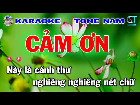 Cảm Ơn Karaoke Tone Nam | Nhạc Xuân 2025