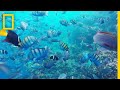 Exploring the Galapagos Islands