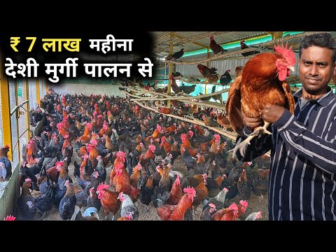 30000+ देशी मुर्गी का शानदार फार्म | Desi Murgi Palan | Desi Poultry Farming Business Plan