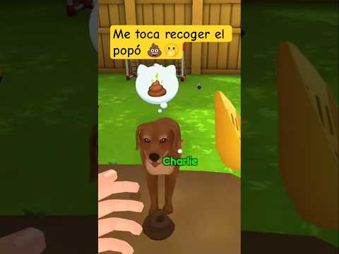 😅 ESTO debes hacer CUANDO CUIDAS PERROS 😅