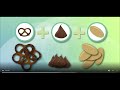 Understanding Mixtures and Solutions