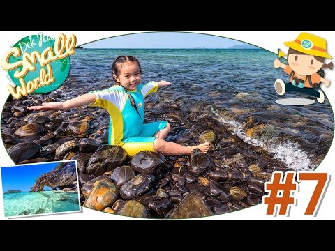 เด็กจิ๋วพาเที่ยวหาดหินงาม ดำน้ำดูปะการังที่เกาะอาดัง (หลีเป๊ะ#7) [N'Prim W267]