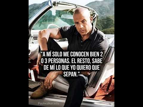 aquí les traigo la pura verdad  frases de Domin toreto