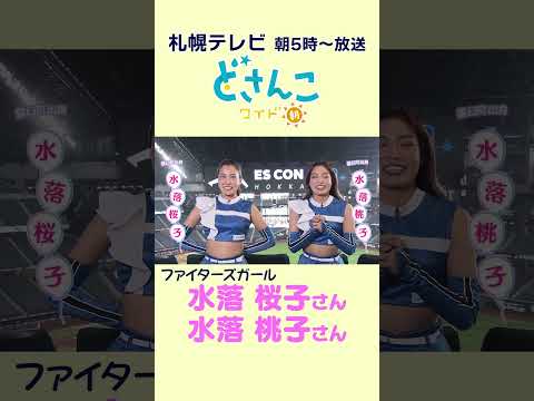 【ファイターズガール】時報はじめました！#水落桜子 さん #水落桃子 さん  #shorts