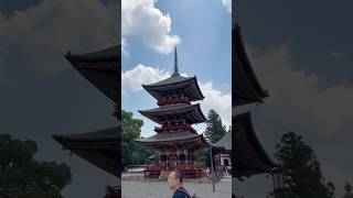 Beautiful Temples of Narita Japan