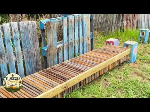 Beehive Frames Sorting and Organizing