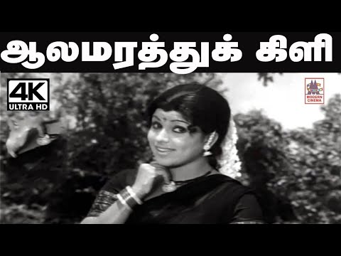 Aala Marathu Kili Song   சங்கர்-கணேஷ் இசையில் வாணிஜெயராம் பாடிய தெம்மாங்கு பாடல் ஆலமரத்து கிளி..