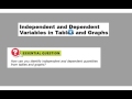 Independent and Dependent Variables Explained