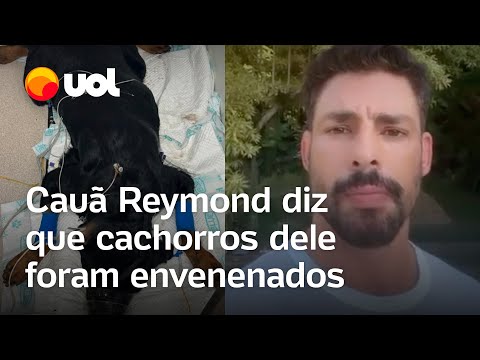 Cauã Reymond conta que cachorros dele foram envenenados: 'Um está à beira da morte'