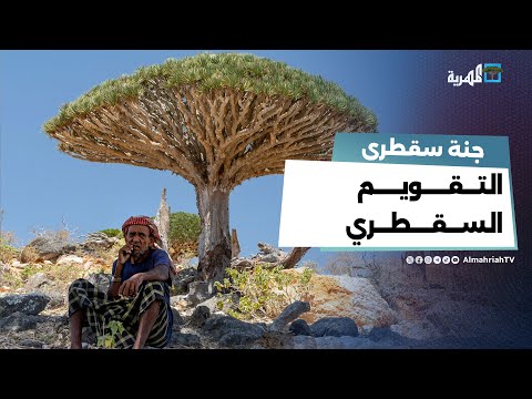 سقطرى... تقويم مستقل مختلف عن التقويم الهجري والميلادي