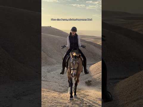 Jeder kennt diese eine Person die man immer fast verliert 😂🦥 #equestrian #horse #fail #trend #joke