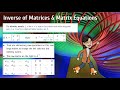 Exploring Inverse Matrices and Matrix Equations