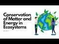 Ecosystem Dynamics and Energy Flow