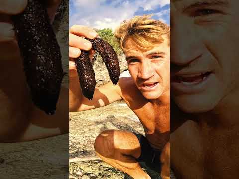 24 Hours Eating ONLY What I Catch With a Knife
