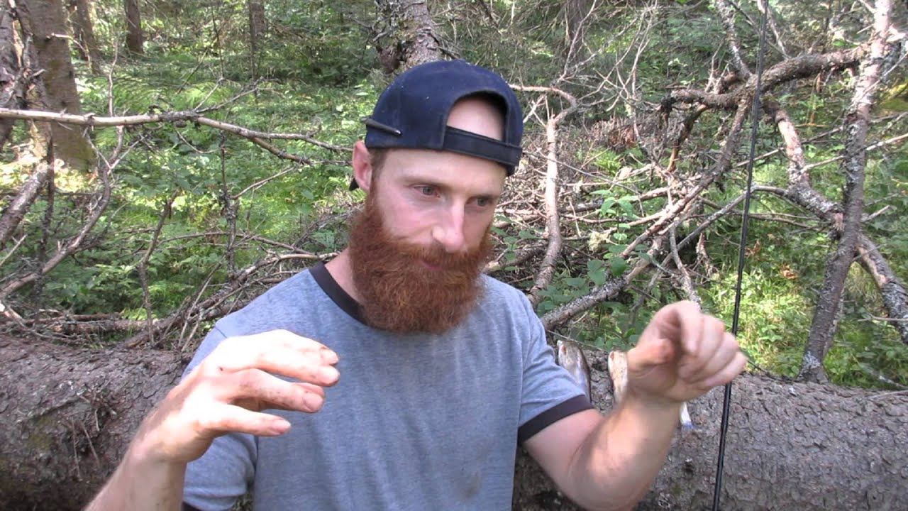 How to Catch Brook Trout: Northern Edition (Part 4 of 4)