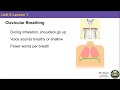Breathing Techniques for Public Speaking