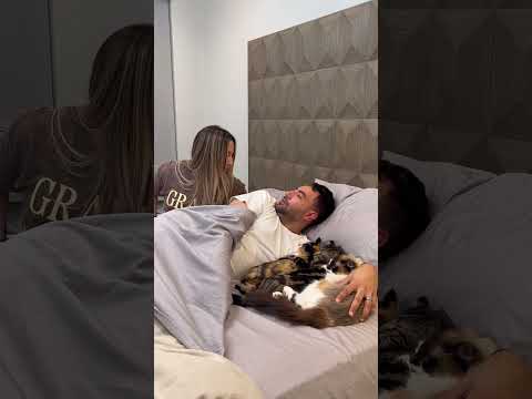 The kitten became my rival🤣🤣
