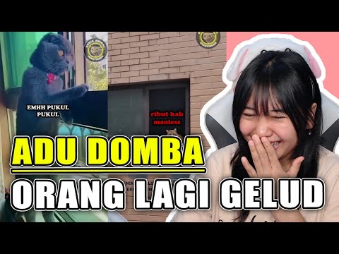 KUCING INI ADU DOMBA ORANG G3LUD | REACTION DEMIK ANIMAL