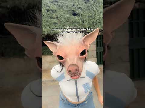jajaja
