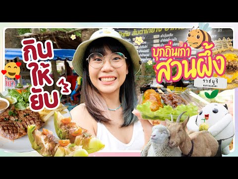 กินให้ยับ--EP.47--สวนผึ้ง-ฟิลแคมป์ปิ้ง-มาฟินน้อนๆ▲-GZR-Gozzi GZR Gozziira กินให้ยับ EP.47 สวนผึ้ง ฟิลแคมป์ปิ้ง มาฟินน้อนๆ▲ GZR Gozzi