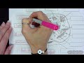 Cell Structure and Function Concepts