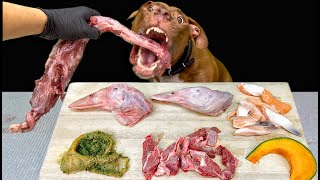Satisfying ASMR: Pit Bull Enjoys a Raw Meat & Bone Meal