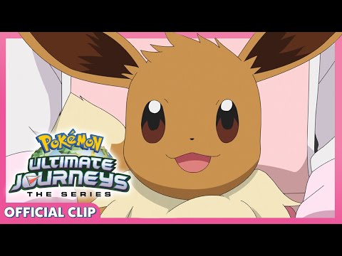 Pokemon TCG News