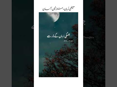Methi Zuban Manzil Asan | Islamic WhatsApp Status Urdu Status #status #islamicstatus