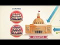 Exploring Checks and Balances in U.S. Government