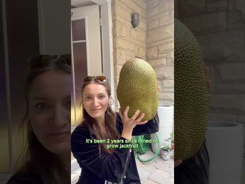 I Done It. I Grew The World’s Largest Fruit In My Backyard