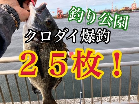 【24年9月】海釣り公園で黒鯛リベンジしたら爆釣した！