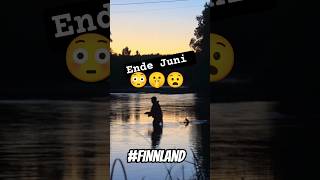 Warum Finnen im Sommer einfach verschwinden