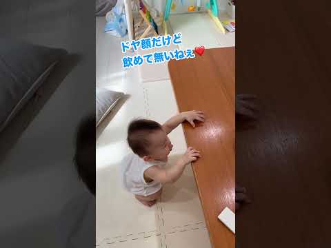 パパの反応を見たくて色々試す息子#赤ちゃん #おしゃべり #baby