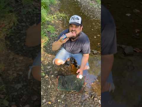 Spam In A Minnow Trap?!? #jesus #creek #fishing #fish #trapping #kentucky #outdoors