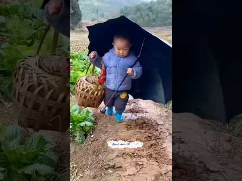 ছোট্ট পিকলুটার জীবনে অনেক কষ্ট 🥺। Piklu Babu.#shortsfeed #shortvideo #ytshortsvideo #short