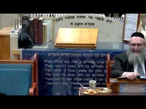 הרב יהושע ויזגן מסכת חולין דף לו עמוד ב'