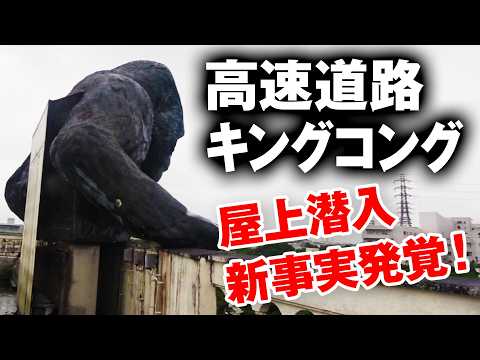 【YouTube初潜入】沖縄の謎施設！間近で見てわかった高速キングコングとハイサイの意外な関係！