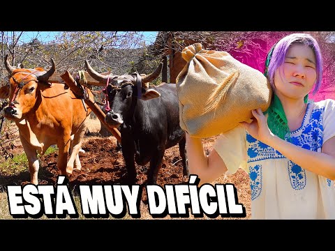 CAMPO MEXICANO ES ASí?! SALÍ REGAÑADA..🫠 l Chingu Amiga