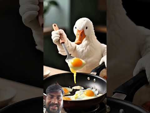 #funnycats #cat #funny #cute #animals #shortsfeed #cartoon #facts #shortvideo #ai