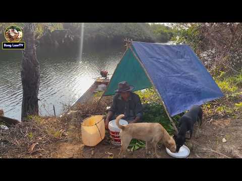 ទឹកឃ្មុំព្រៃល្អបំផុត នៅកោះឆ្ងាយៗ ទេសភាពក៏ល្អអស់ទាស់ THE BEAUTIFUL SCENCE ON BEES ISLAND 4K VIDEO