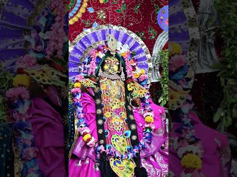 आज श्री राधा दामोदर भगवान नाई के रुप में दर्शन दिए 🙏🙏🥰🥰#राधे_कृष्णा