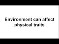Animal Behavior and Plant Responses