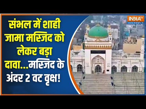 Dharmyudh: संभल में शाही मस्जिद या मंदिर..सबूत आ गए? Sambhal Jama Masjid Survey | Chandausi Court