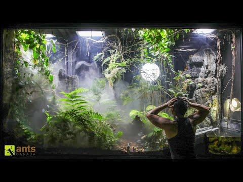 What Caused an Extinction Event in My Giant Rainforest Vivarium