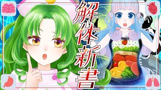 はたらく内臓の位置を勘で描いてみた！【#看護の日】